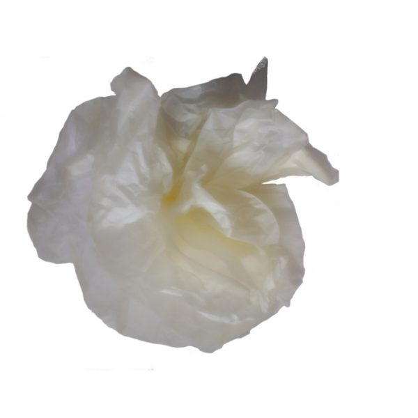 Flor de papel de seda en color crema - Imagen 2